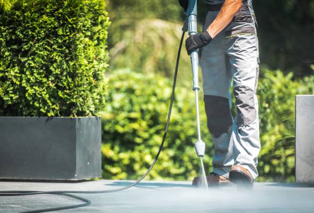 Boat and Dock Cleaning in Mesilla, NM